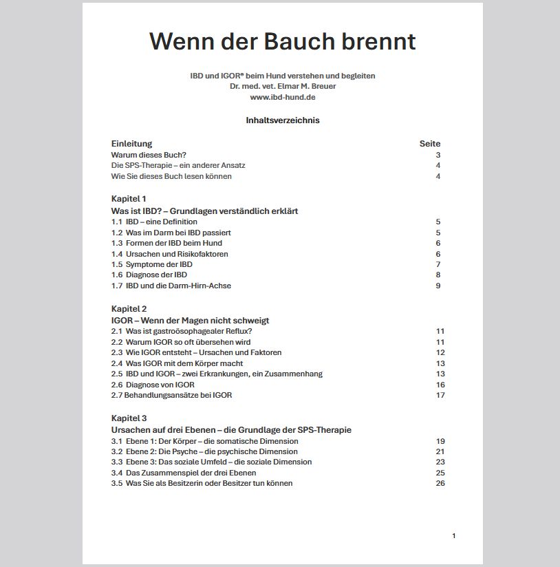 eBook: Wenn der Bauch brennt... und das Hirn leidet