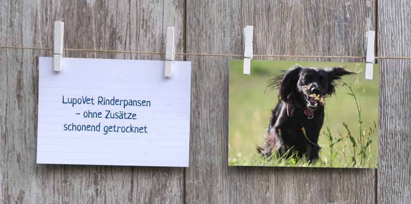 lupovet_notiz_rinderpansen