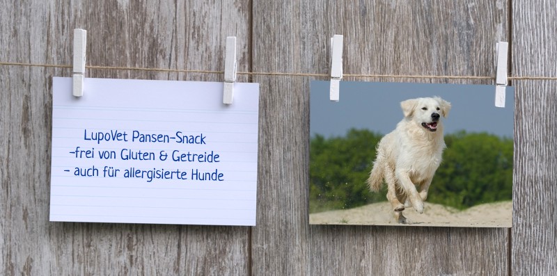 lupovet_notiz_pansensnack