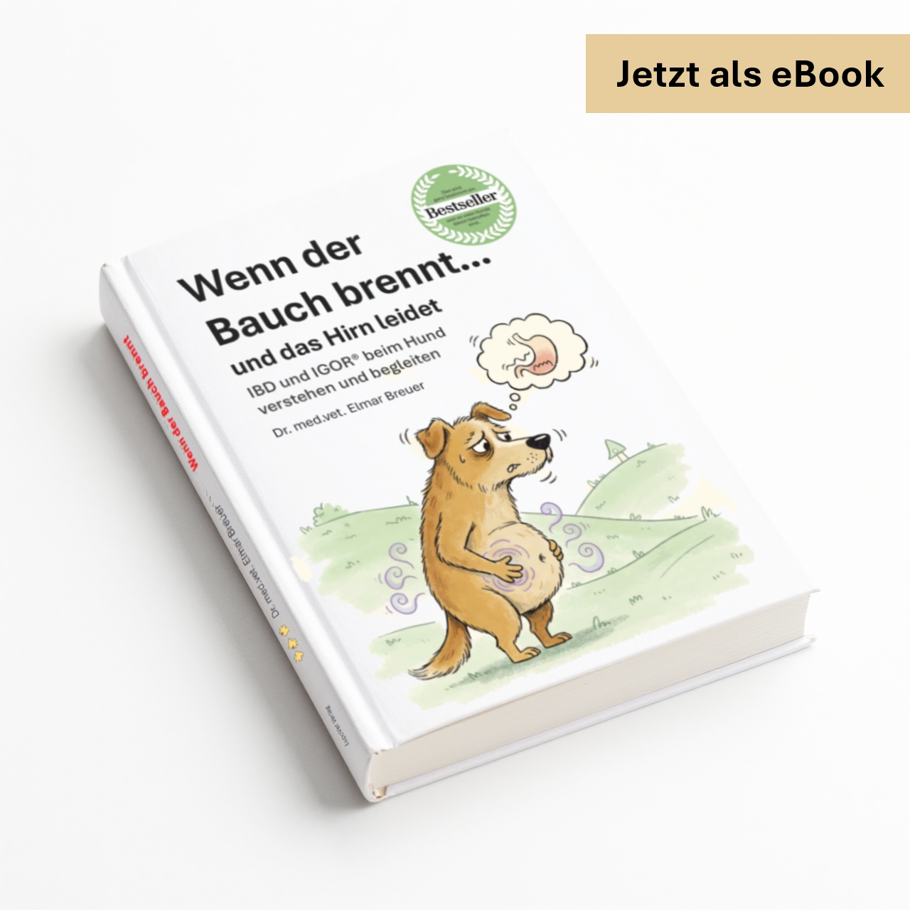 eBook: Wenn der Bauch brennt... und das Hirn leidet