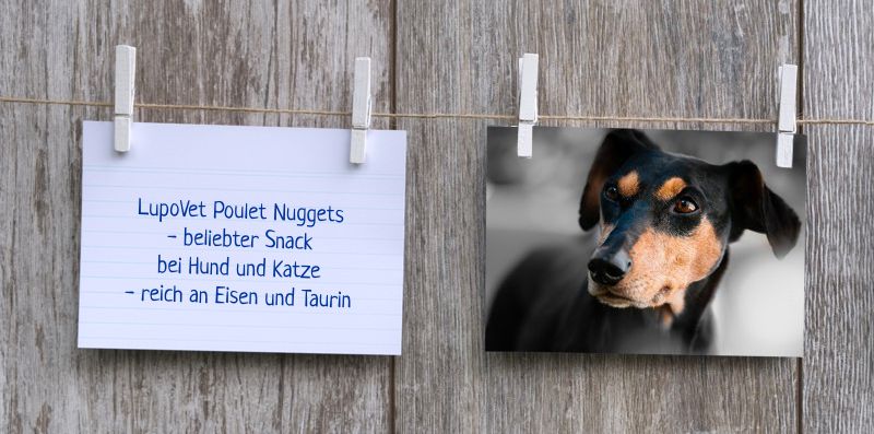 lupovet_notiz_poulet_nuggets