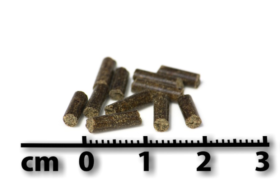 Zistrose_mit_masseinheit_web LupoVet Zistrose 35 % Pellets mit Masseinheit