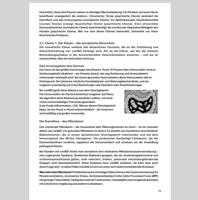 eBook: Wenn der Bauch brennt... und das Hirn leidet