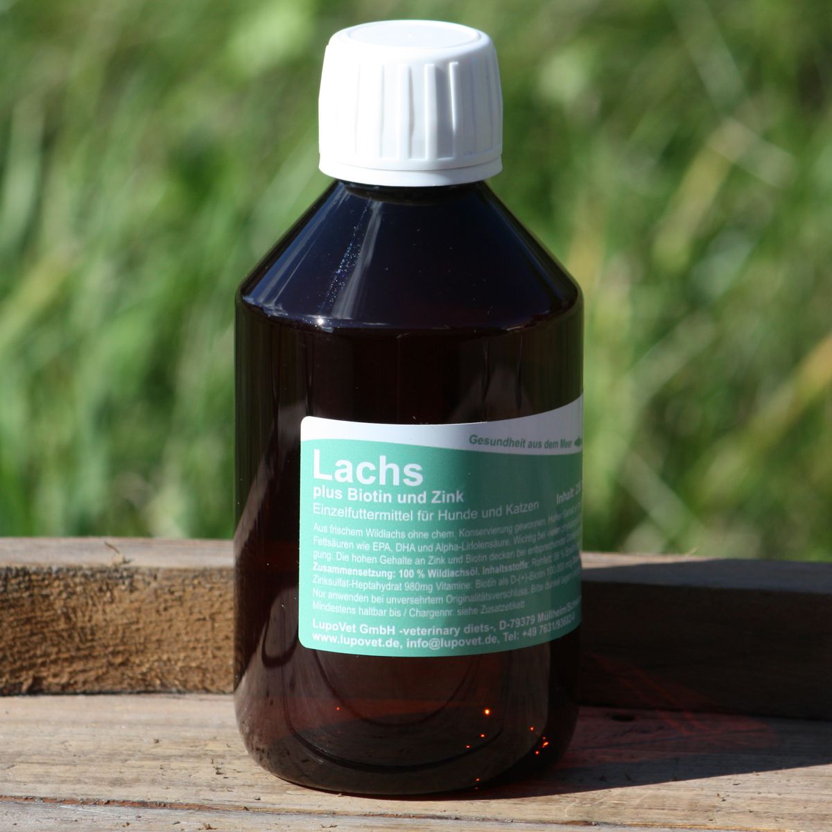 lachs_1200mal1200 LupoVet Lachs