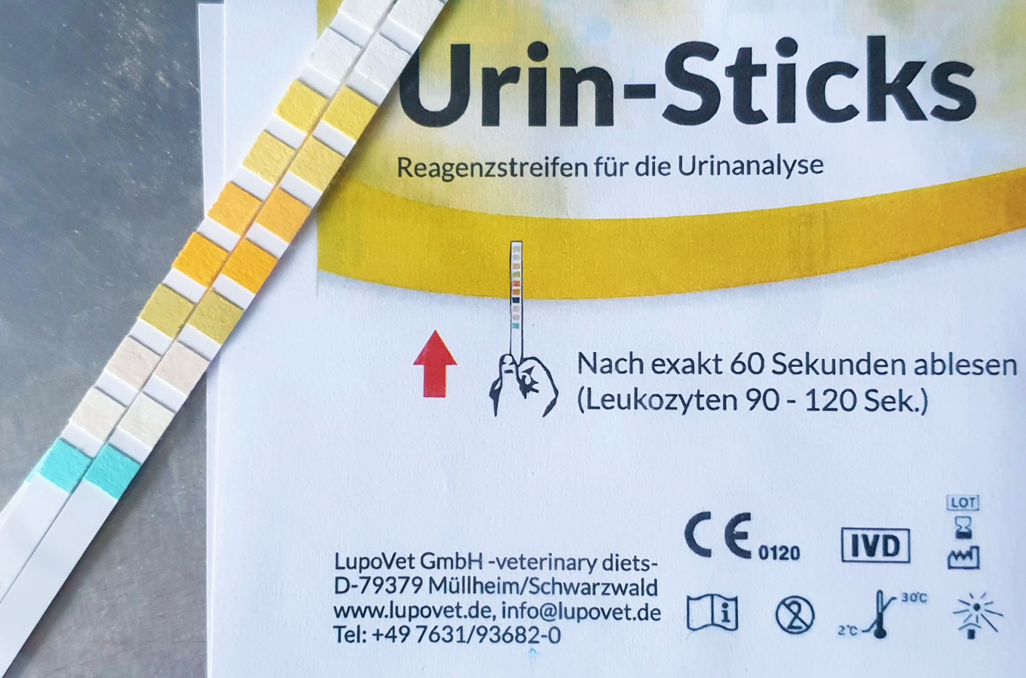 PRODOX Giardien Schnelltest für Hunde | Test für Zuhause PRODOX Giardien Schnelltest für Hunde | Test für Zuhause
