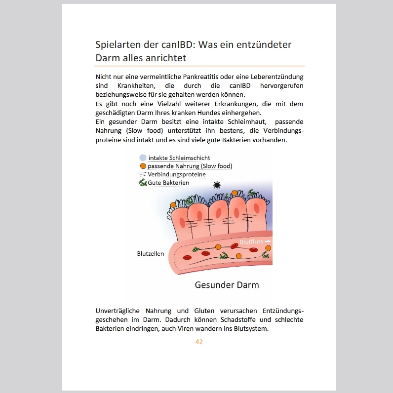 ebook canIBD: So ein Scheiß!