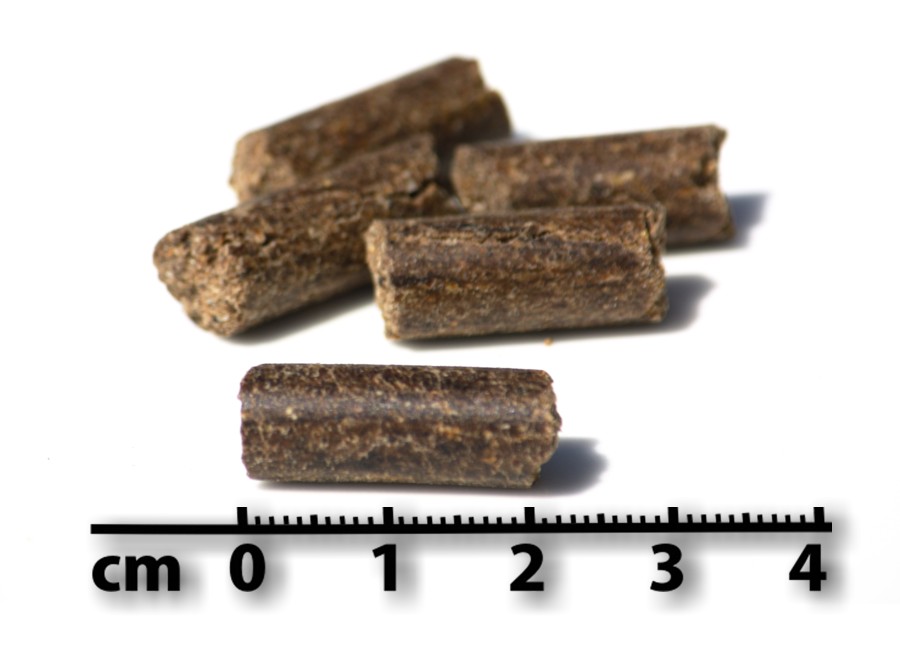 sporty_pellets_mit_masseinheit_web LupoVet Sporty Pellets mit Masseinheit