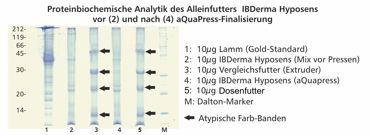 proteinbiochemische_analytik_Ibderma_hyposens3