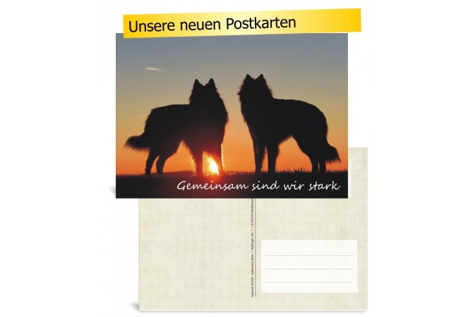 LupoVet-Postkarte "Gemeinsam sind wir stark"